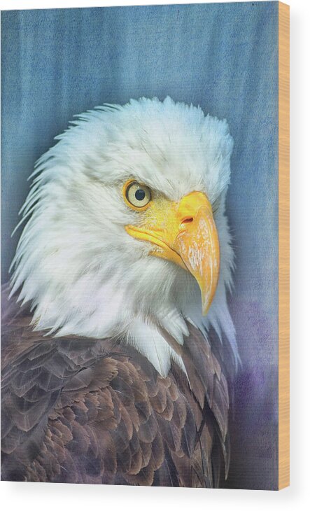 Bird Wood Print featuring the photograph American Bald Eagle by Bill Barber