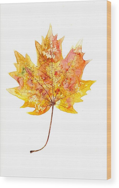 Maple Wood Print featuring the painting Autumn maple leaf by Nataliya Vetter