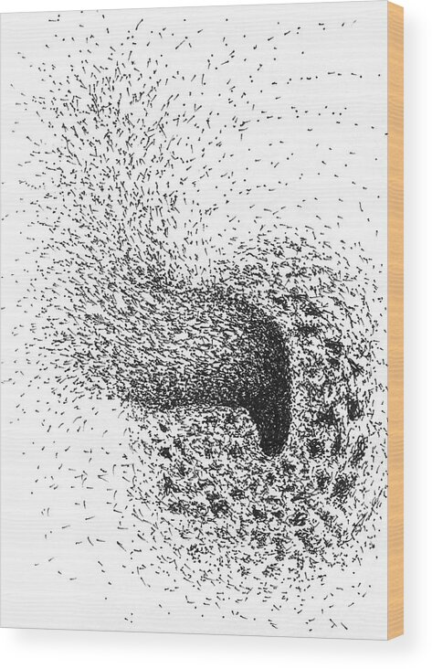 Bees Wood Print featuring the drawing Bees Buzzing by Franci Hepburn