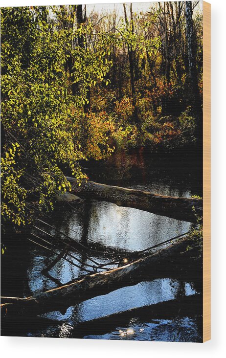 Tranquil Wood Print featuring the photograph Broad Run Autumn No. 1 by Steve Ember