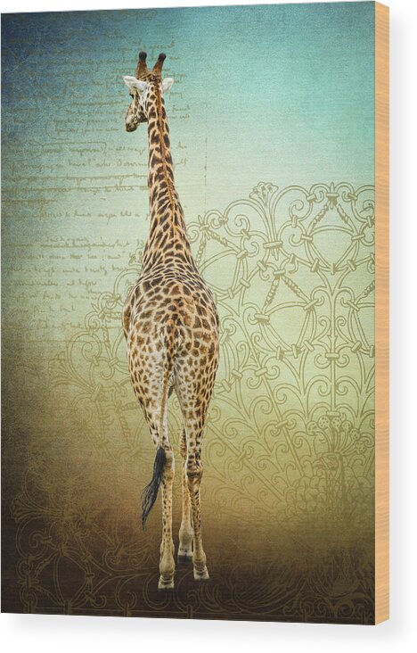 Giraffe Wood Print featuring the photograph Bull Giraffe by Rebecca Herranen