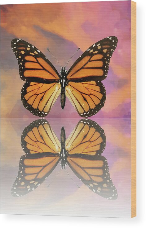 Butterfly Wood Print featuring the digital art Butterfly in Clouds Reflection by Gaby Ethington