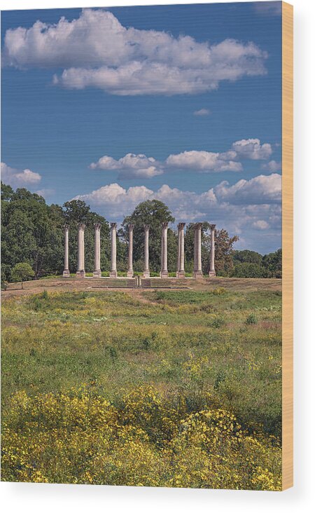 Washington Dc Wood Print featuring the photograph Capitol Columns 2 by Robert Fawcett