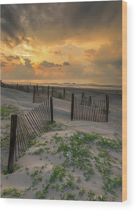 Isle Of Palms Wood Print featuring the photograph Catching Light Isle of Palms SC by Donnie Whitaker