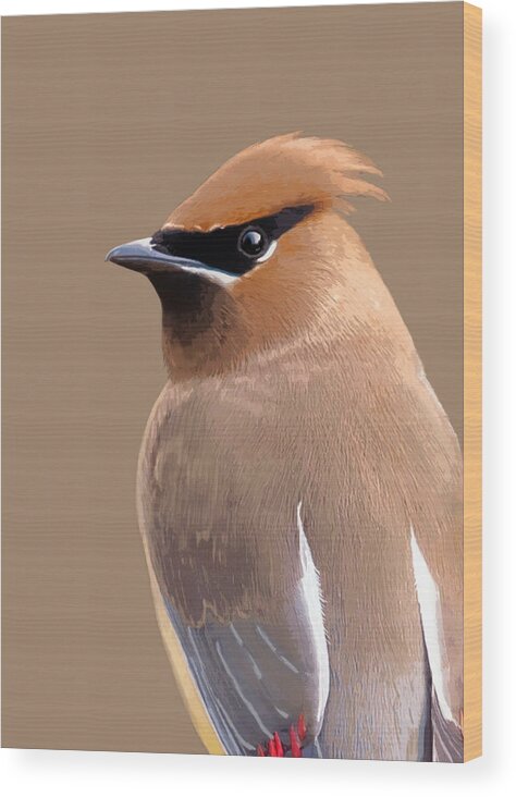 Nature Wood Print featuring the mixed media Cedar Waxwing by Judy Cuddehe
