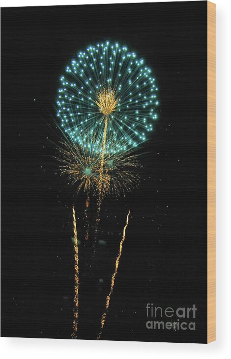 Fireworks Wood Print featuring the photograph Celebrate by Lois Bryan