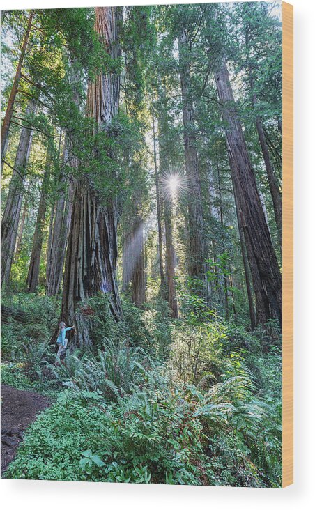 California Wood Print featuring the photograph Chasing the light by Rudy Wilms