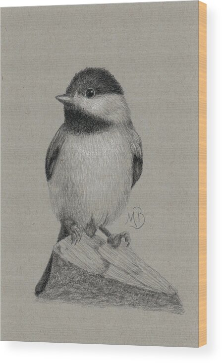 Chickadee Wood Print featuring the drawing Chickadee by Monica Burnette