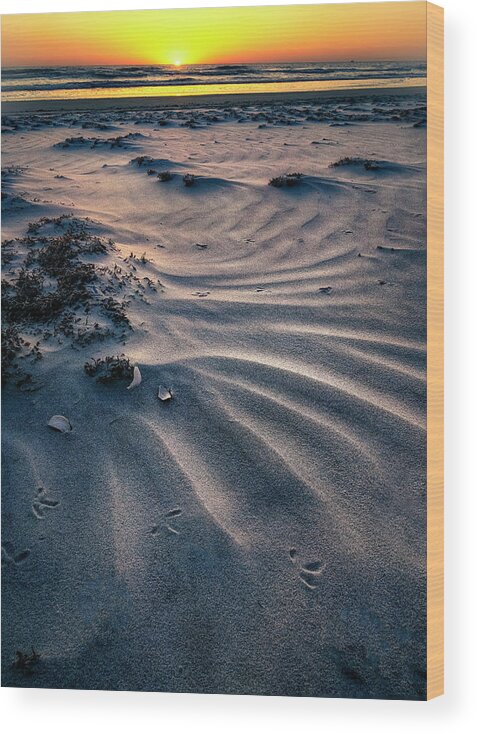 Florida Wood Print featuring the photograph Daytona Beach Sunrise by Michael Ash