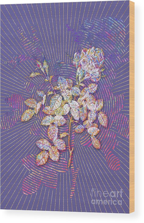 Mosaic Wood Print featuring the mixed media Dwarf Damask Rose Mosaic Botanical Art on Veri Peri n.0143 by Holy Rock Design