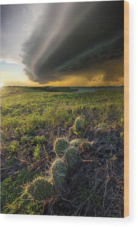 Chaos Wood Print featuring the photograph Entropy by Aaron J Groen