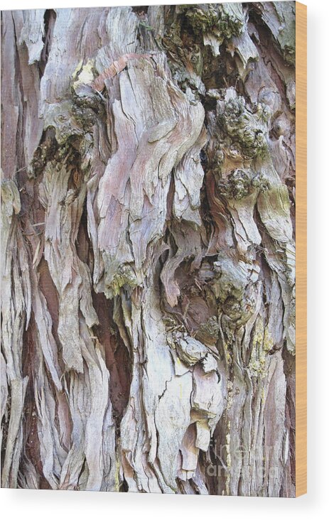 Texture Wood Print featuring the photograph Eucalyptus by Wendy Golden