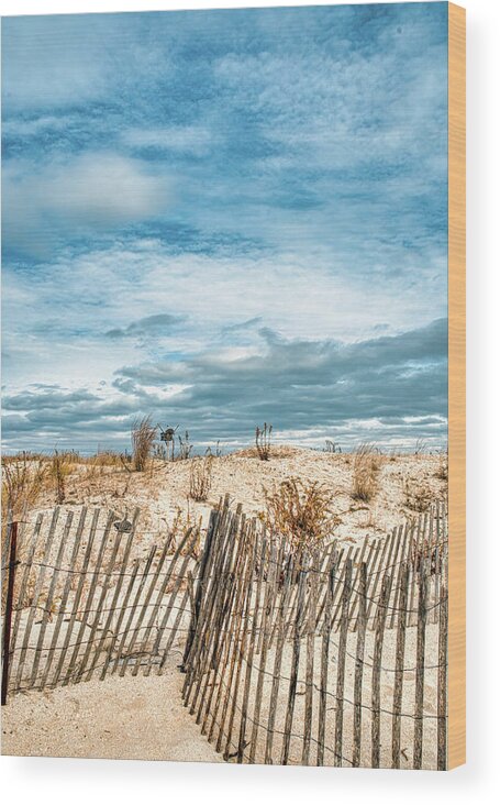 Sandy Hook Wood Print featuring the photograph Fences On The Dune At Sandy Hook by Gary Slawsky
