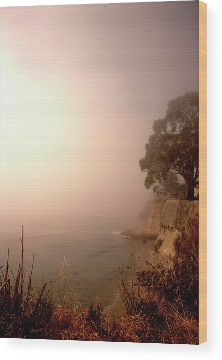 Fog Wood Print featuring the photograph Fog Lit by Lora Lee Chapman