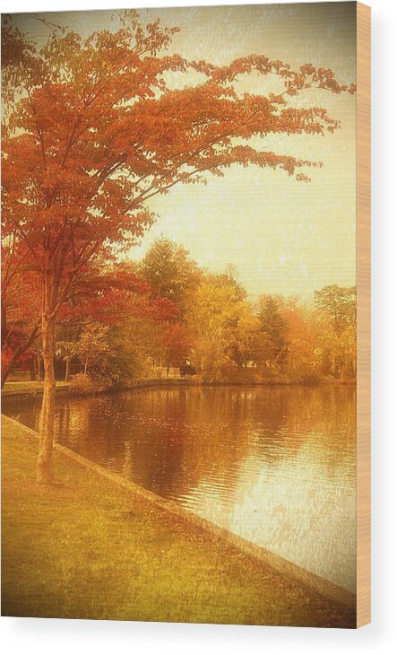 Autumn Wood Print featuring the photograph Glorious Autumn - Lake Carasaljo by Angie Tirado