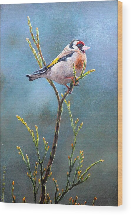 Goldfinch Wood Print featuring the painting Goldfinch by Alan M Hunt by Alan M Hunt