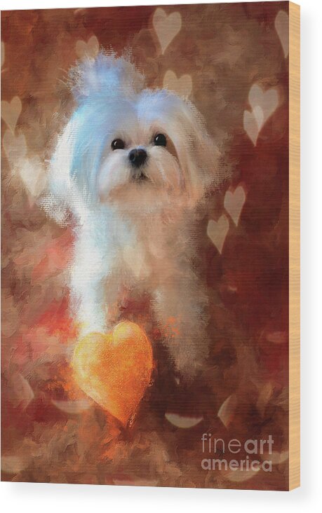 Maltese Wood Print featuring the digital art Heart Of Gold by Lois Bryan
