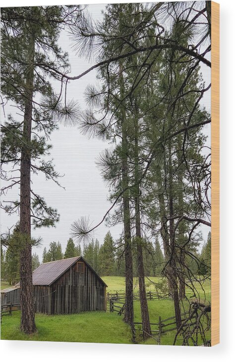 Photograph Wood Print featuring the photograph Hetch Hetchy Barn by John A Rodriguez