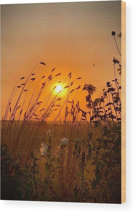 Iphonography Wood Print featuring the photograph IPhonography Sunset 2 by Julie Powell