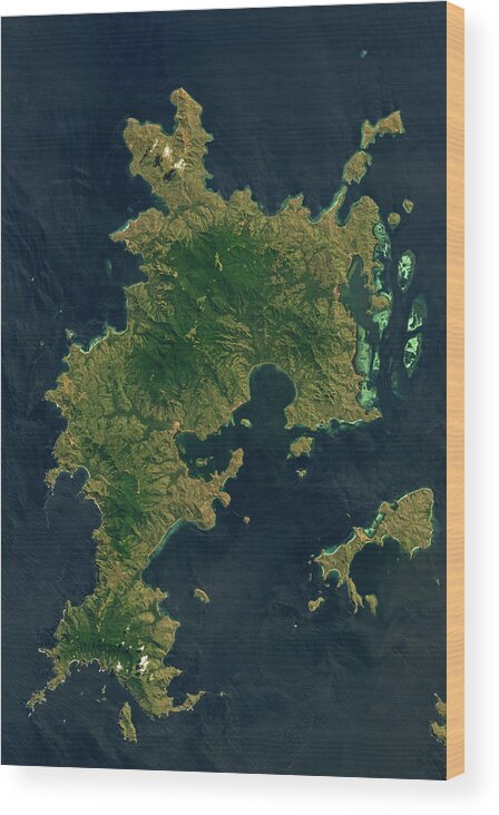 Satellite Image Wood Print featuring the digital art Komodo island by Christian Pauschert