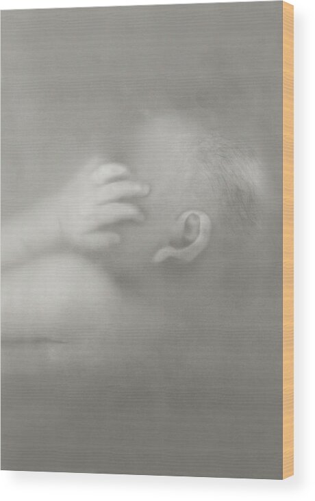 Black & White Wood Print featuring the photograph Latex Series, Brooke, 3 weeks old by Anne Geddes