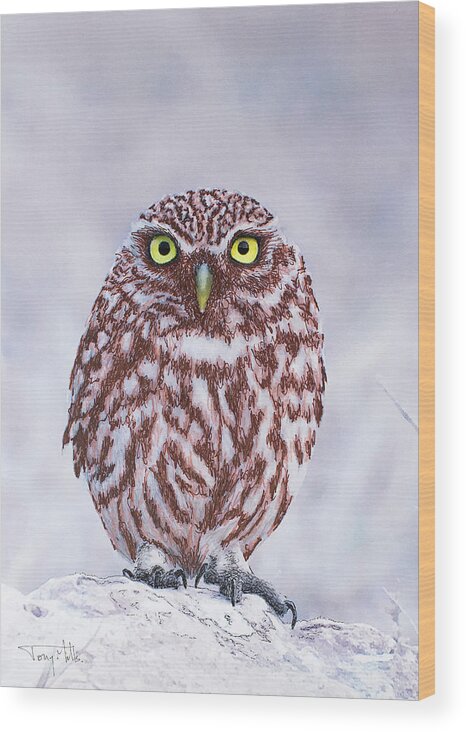 Little Owl Wood Print featuring the mixed media Little Owl, mixed media. by Tony Mills
