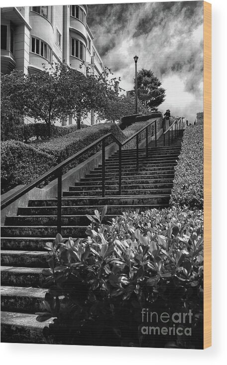 Sfo Wood Print featuring the photograph Lyon Street Steps by Doug Sturgess
