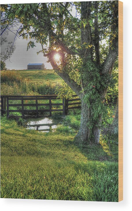 Kentucky Wood Print featuring the photograph Morning Has Broken by Randall Dill