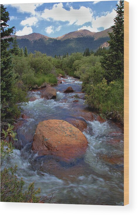 Mountains Wood Print featuring the photograph Mountain Creek by Bob Falcone