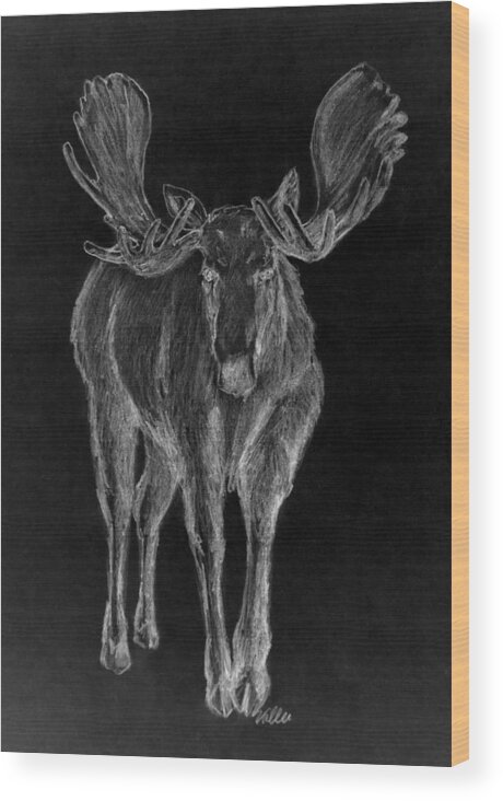 Wildlife Wood Print featuring the drawing Night Moose by Vallee Johnson