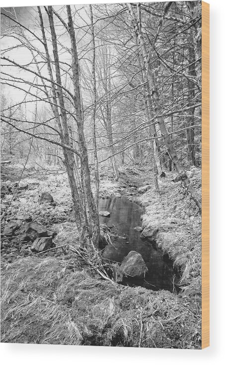 Infra Red Wood Print featuring the photograph Nr Jeffers Falls by Alan Norsworthy