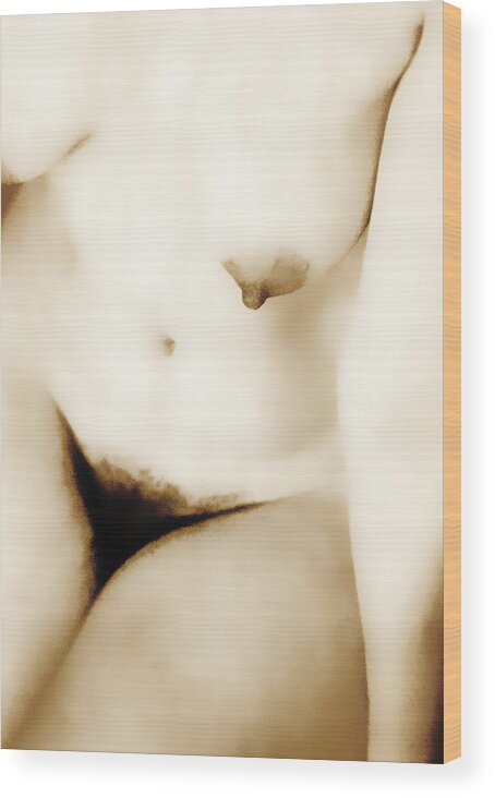 Nude Wood Print featuring the photograph Nude 3 by Jim Painter