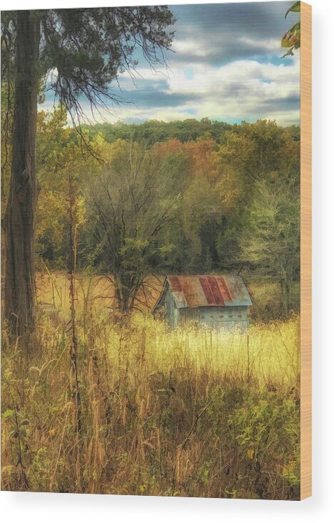 Autumn Wood Print featuring the photograph Ozarks Autumn by Linda Shannon Morgan