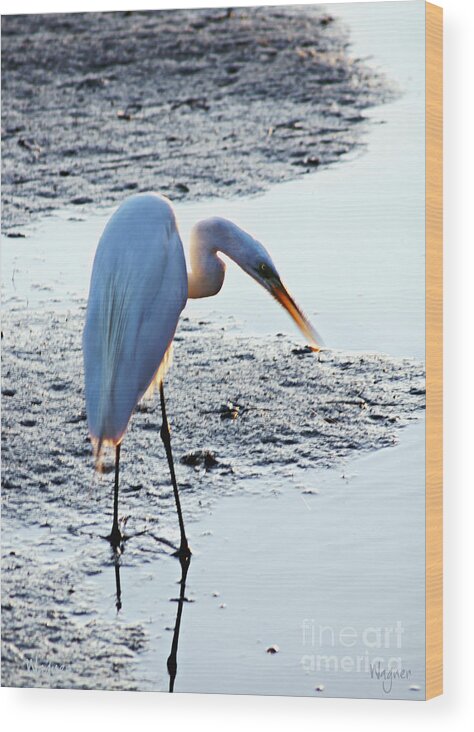 Great Egret Wood Print featuring the photograph Perfect Moment by Hilda Wagner