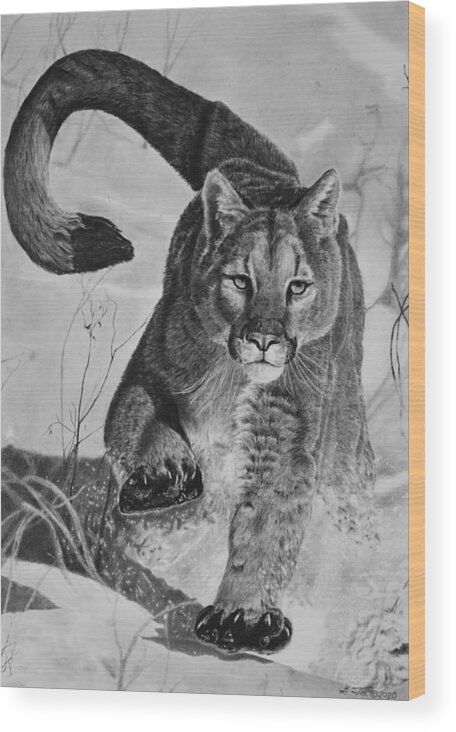Mountain Lion Wood Print featuring the drawing Pursuit by Greg Fox