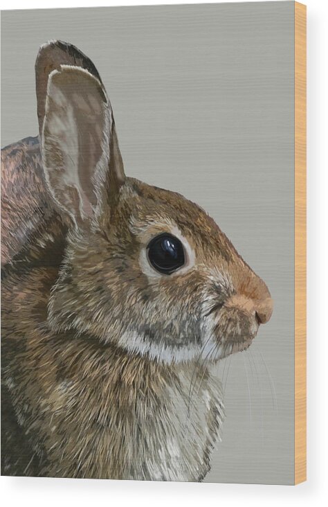 Nature Wood Print featuring the mixed media Rabbit in Five Colors by Judy Cuddehe