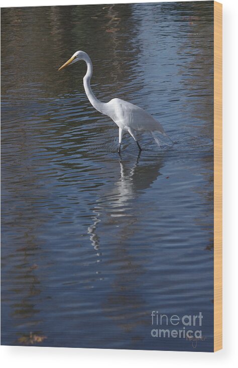 Great Egret Wood Print featuring the painting Reflections by Hilda Wagner