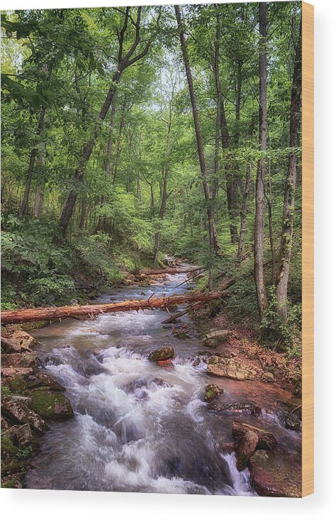 Roaring Run Wood Print featuring the photograph Roaring Run Creek - Eagle Rock Virginia by Susan Rissi Tregoning