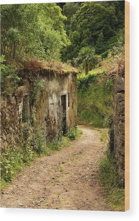 Ruins Wood Print featuring the photograph Ruins on the Path by Denise Kopko