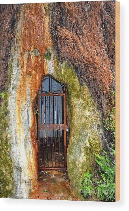 Rusted Gate Wood Print featuring the photograph Rusted Gate by Expressions By Stephanie