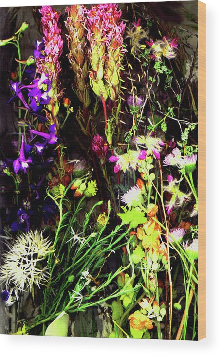 Sedona Wood Print featuring the photograph Sedons Wildflowers by Joe Hoover