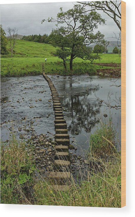 Stepping Stones Wood Print featuring the photograph Stepping Stones Across The Hodder by Jeff Townsend