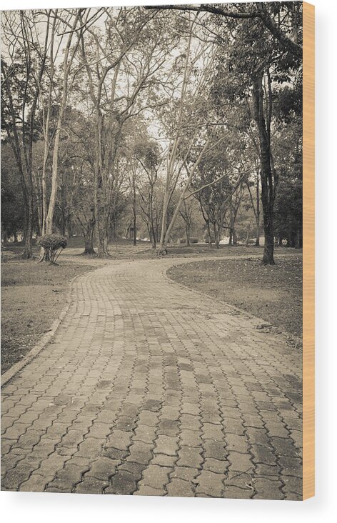 Tropical Tree Wood Print featuring the photograph Stone pathway by Boonsom