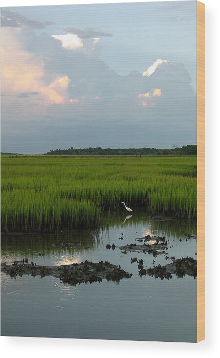 Egret Wood Print featuring the photograph Summertime Marsh by Suzanne Gaff