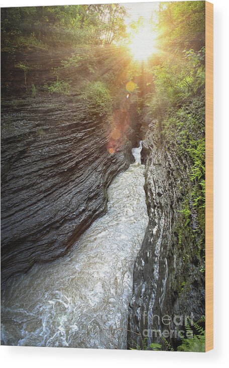 Sunrise Wood Print featuring the photograph Sunrise in the Gorge by Rehna George
