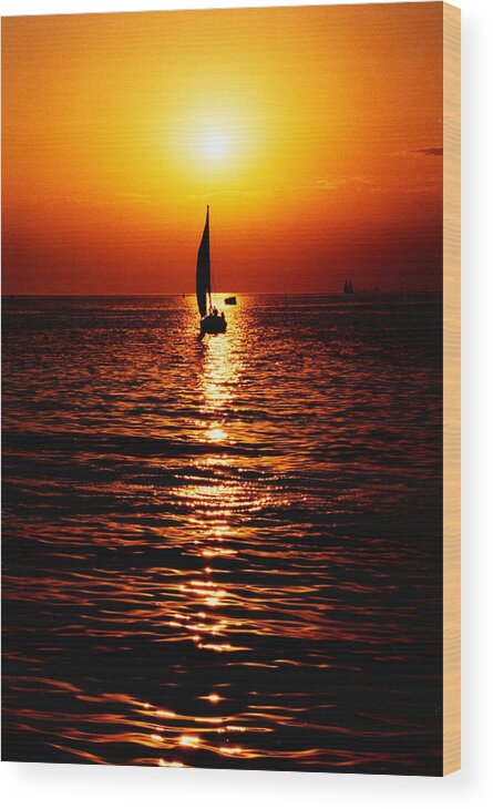 Sunset Wood Print featuring the photograph Sunset by Nataliya Vetter