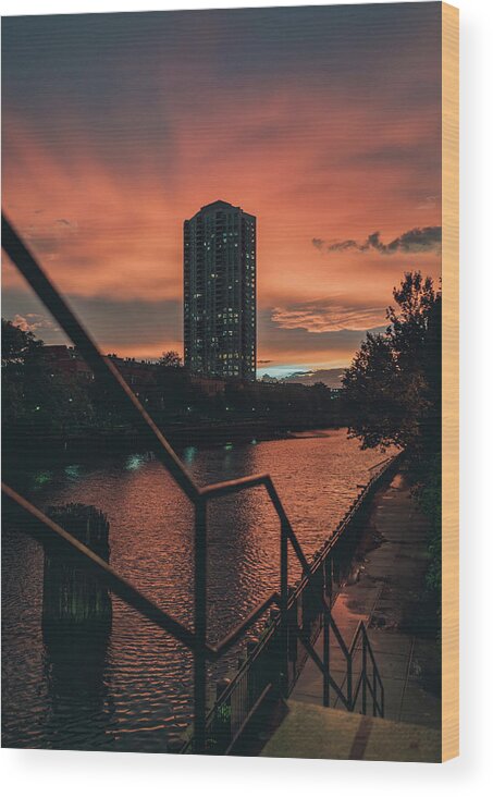 Chicago Wood Print featuring the photograph Sunset Wild by Nisah Cheatham