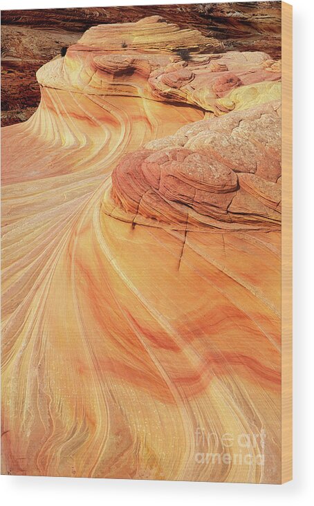 The Wave Wood Print featuring the photograph Swirls and patterns of sandstone fins in Coyote Butte, Arizona, USA by Neale And Judith Clark