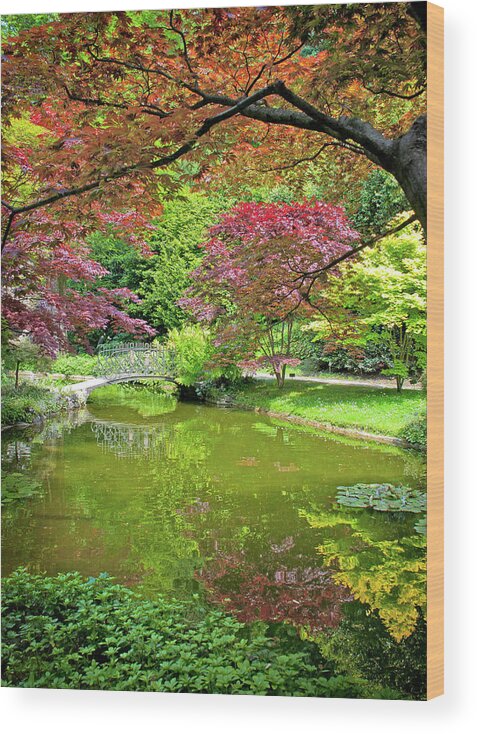 Villa Melzi Wood Print featuring the photograph The Grass is Greener - Japanese Garden in Villa Melzi Gardens, Lake Como, Bellagio, Italy by Denise Strahm