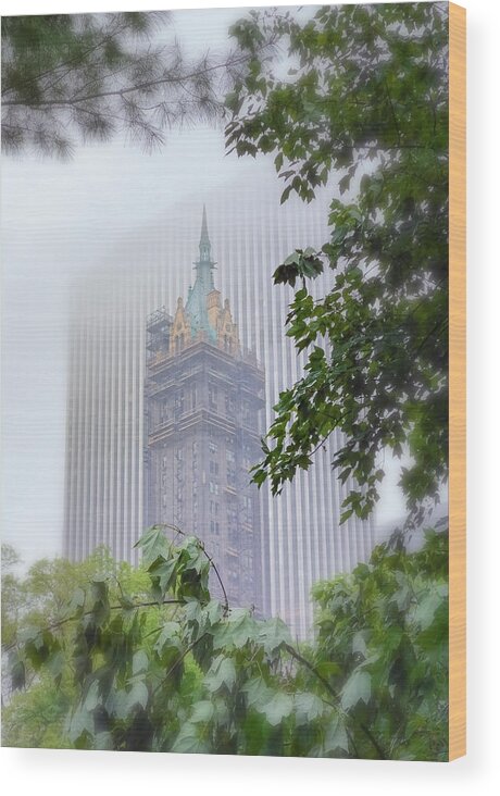 Sherry-netherland Hotel Wood Print featuring the photograph The Sherry-Netherland Hotel by Cate Franklyn